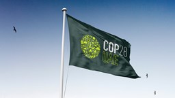 Consumers International reacts to COP28: More ambition needed to support consumers and meet net zero goals